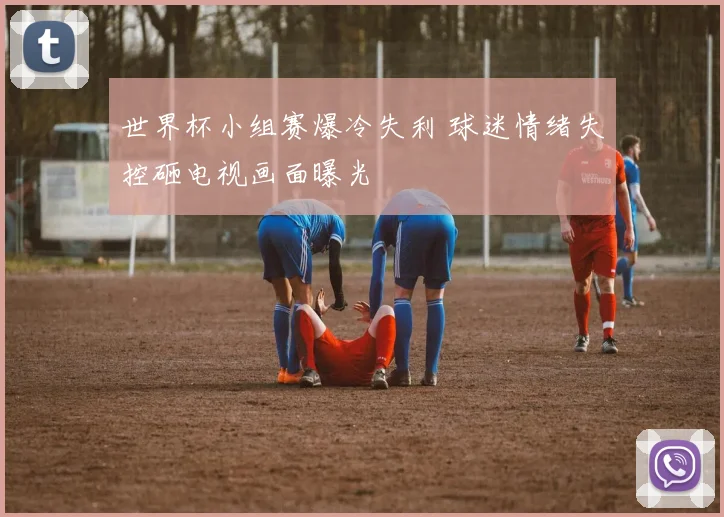 世界杯小组赛爆冷失利 球迷情绪失控砸电视画面曝光