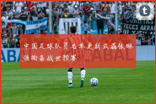 中国足球队员名单更新武磊张琳芃领衔备战世预赛