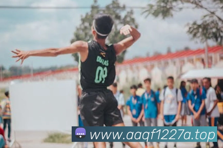 巅峰国际app官网下载服务体系